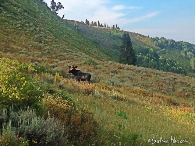 Hiking to Shadow Lake via Guardsmans Pass