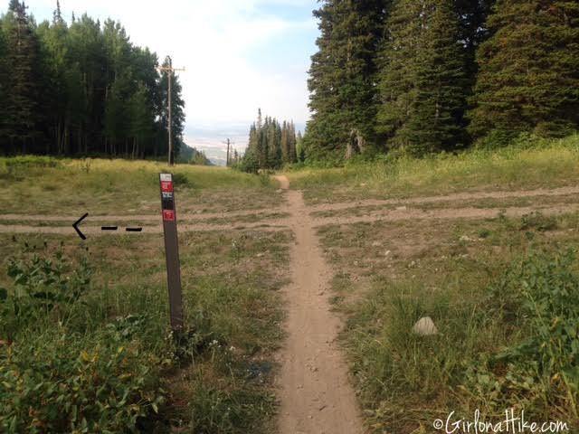 Hiking to Shadow Lake via Guardsmans Pass