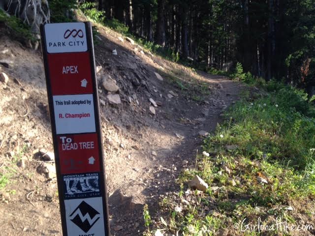 Hiking to Shadow Lake via Guardsmans Pass