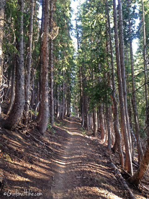 Hiking to Shadow Lake via Guardsmans Pass