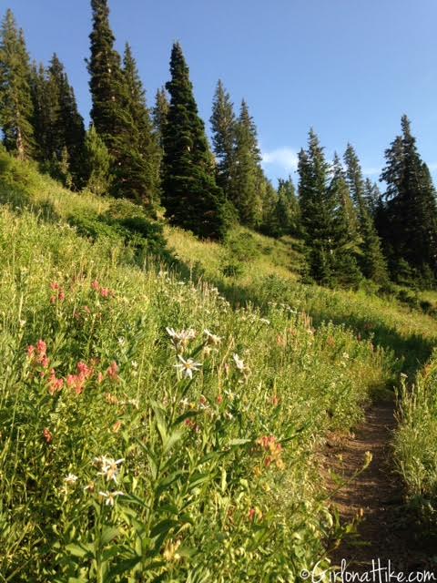 Hiking to Shadow Lake via Guardsmans Pass