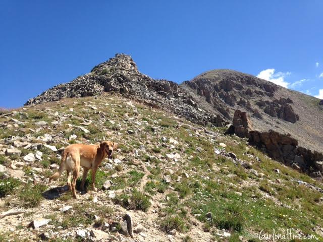 Mt. Peale & Mt. Tukuhnikivatz Razor Fang