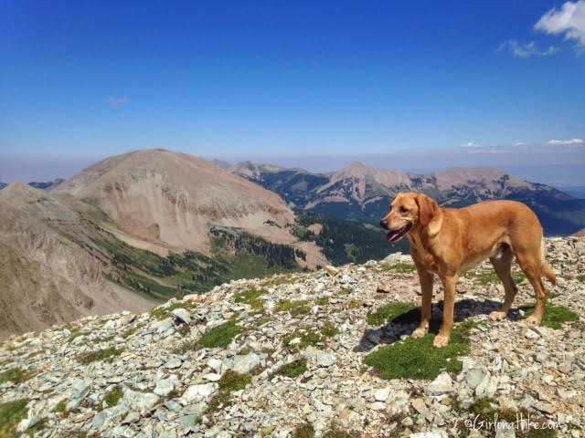 Hiking to Mt. Peale & Mt. Tukuhnikivatz, Utah Ultra Prominence Peaks