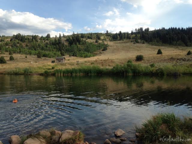 Gorgoza Dog Park, Kimball Junction, Utah, Hiking in Utah with Dogs