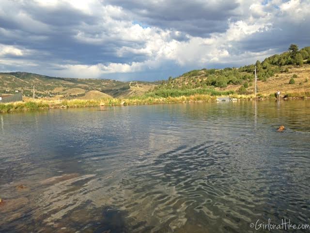 Gorgoza Dog Park, Kimball Junction, Utah, Hiking in Utah with Dogs