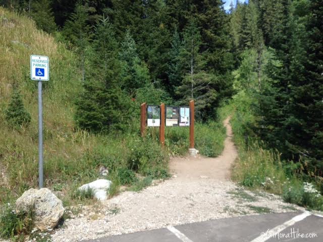 Hiking to Gobblers Knob and Mt. Raymond 