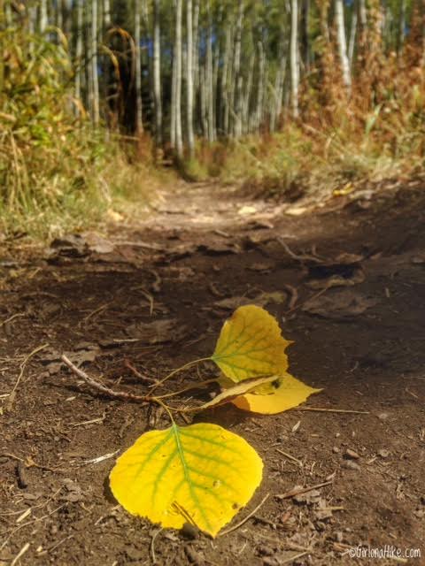 Hiking to Willow Heights Lake, Big Cottonwood Canyon, Utah, Kid friendly Trails in Salt Lake City