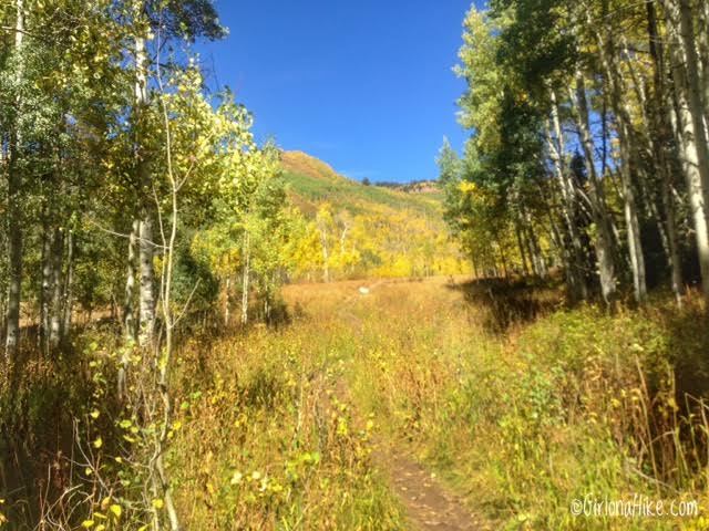 Hiking to Willow Heights Lake, Big Cottonwood Canyon, Utah, Kid friendly Trails in Salt Lake City