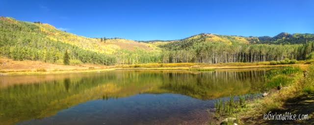 Hiking to Willow Heights Lake, Big Cottonwood Canyon, Utah, Kid friendly Trails in Salt Lake City