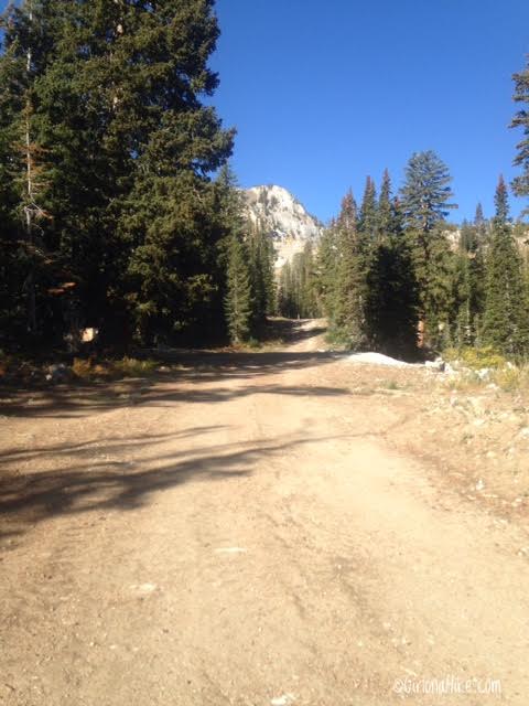 Hiking the Wolverine Cirque to Brighton Lakes (Loop)