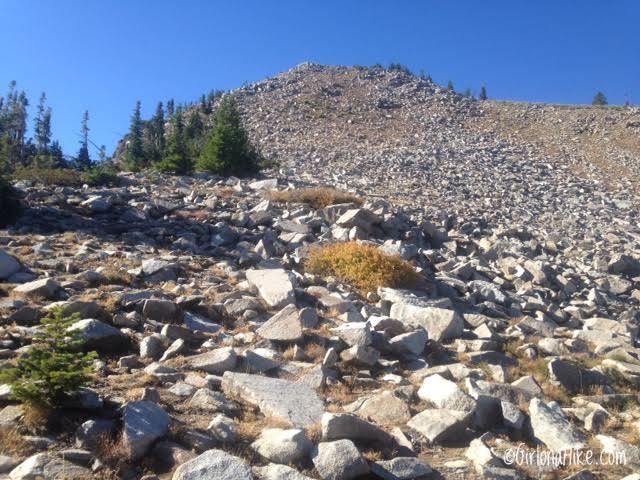 Hiking the Wolverine Cirque to Brighton Lakes (Loop)