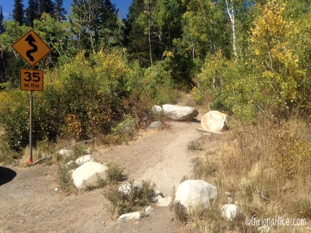 Hiking to Willow Heights Lake, Big Cottonwood Canyon, Utah, Kid friendly Trails in Salt Lake City