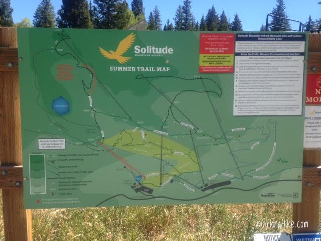 Playing Disc Golf at Solitude Mountain Resort