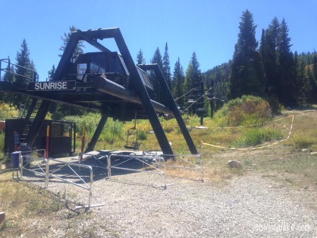 Playing Disc Golf at Solitude Mountain Resort