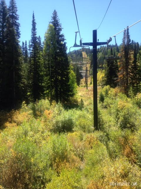 Playing Disc Golf at Solitude Mountain Resort