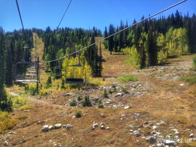 Playing Disc Golf at Solitude Mountain Resort