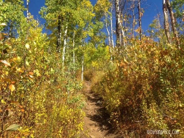 Hiking to Willow Heights Lake, Big Cottonwood Canyon, Utah, Kid friendly Trails in Salt Lake City