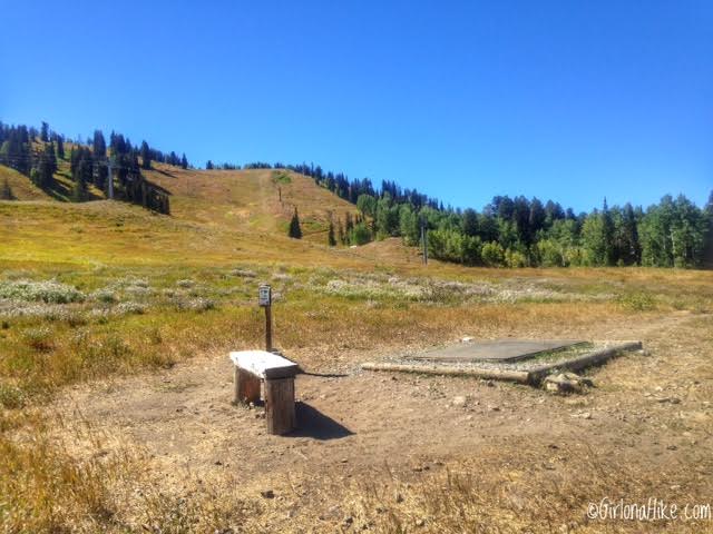 Playing Disc Golf at Solitude Mountain Resort