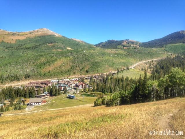 Playing Disc Golf at Solitude Mountain Resort