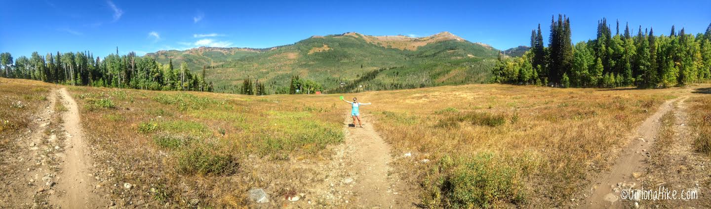 Playing Disc Golf at Solitude Mountain Resort