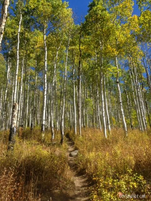 Hiking to Willow Heights Lake, Big Cottonwood Canyon, Utah, Kid friendly Trails in Salt Lake City