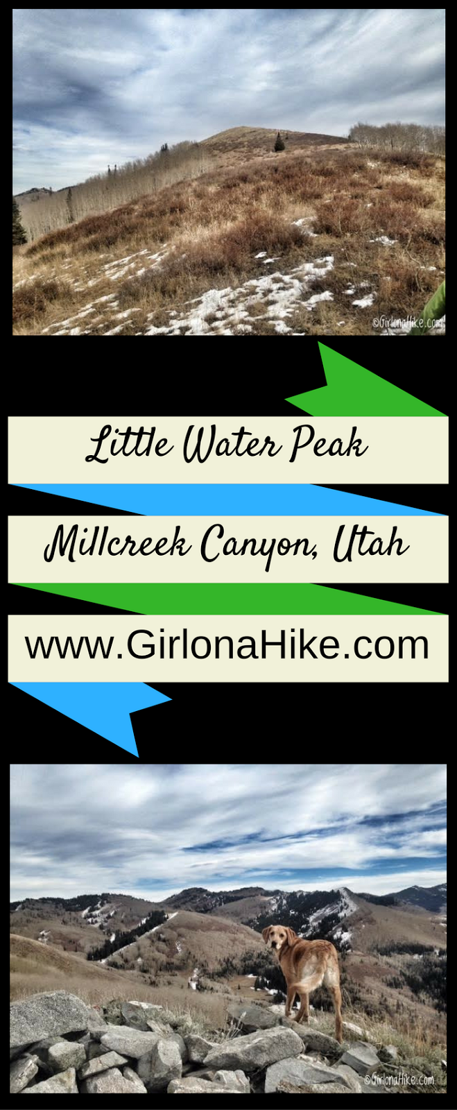 Hiking to Little Water Peak, Millcreek Canyon, Hiking in Utah with Dogs