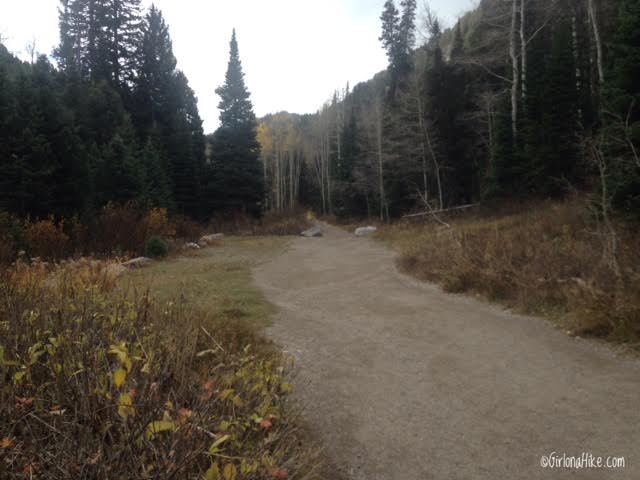 Hiking to Donut Falls, Big Cottonwood Canyon, Hiking in Utah with Kids, Hiking Utah