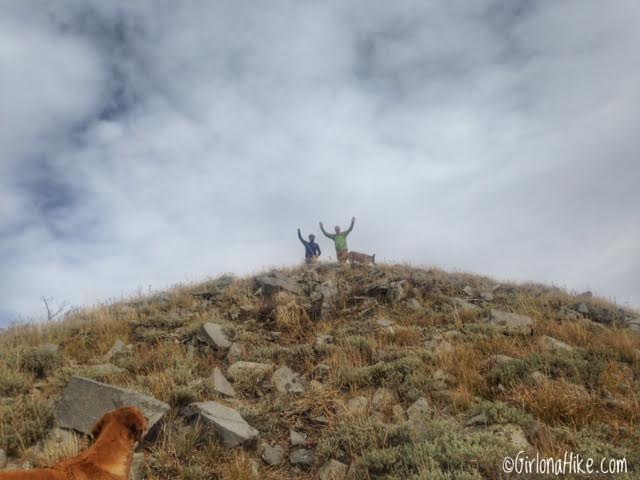 Hiking to Little Water Peak, Millcreek Canyon, Hiking in Utah with Dogs