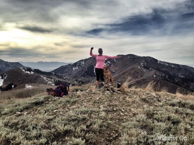 Hiking to Little Water Peak, Millcreek Canyon, Hiking in Utah with Dogs