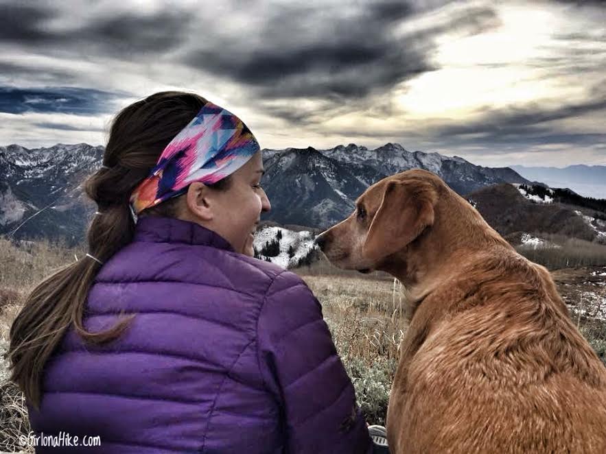 Hiking to Little Water Peak, Millcreek Canyon, Hiking in Utah with Dogs