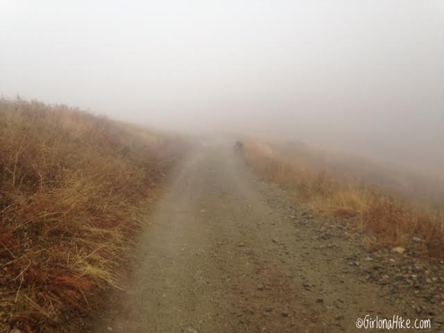 Hiking to Thurston Peak, Farmington, Utah, Utah County High Point