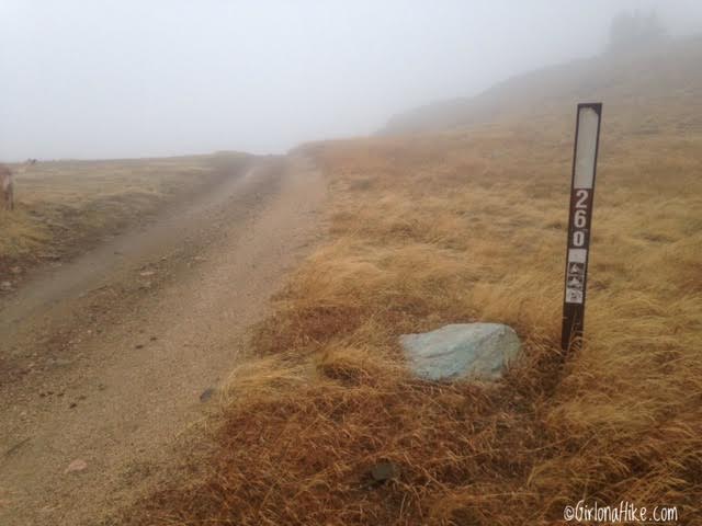 Hiking to Thurston Peak, Farmington, Utah, Utah County High Point