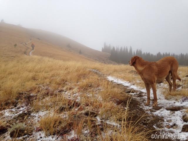 Hiking to Thurston Peak, Farmington, Utah, Utah County High Point