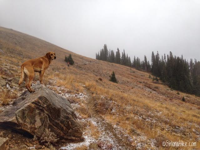 Hiking to Thurston Peak, Farmington, Utah, Utah County High Point