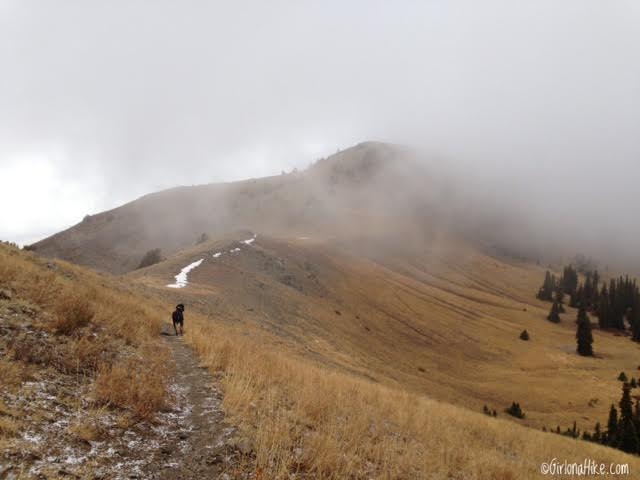 Hiking to Thurston Peak, Farmington, Utah, Utah County High Point