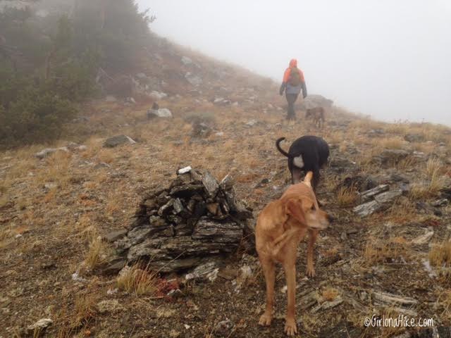 Hiking to Thurston Peak, Farmington, Utah, Utah County High Point