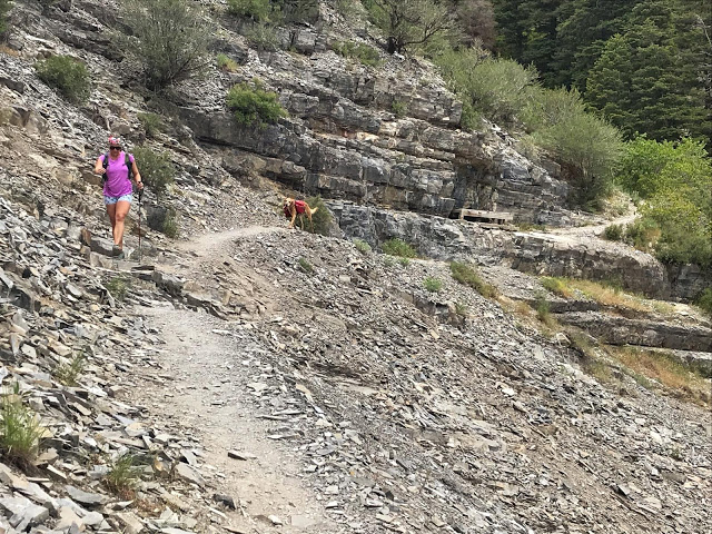 Hiking Grove Creek Canyon