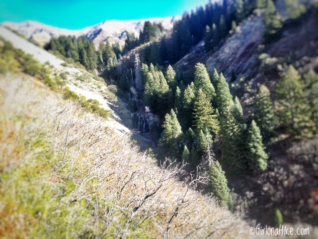 Hiking Grove Creek Canyon, Hiking in Utah with Dogs, Hiking in Utah