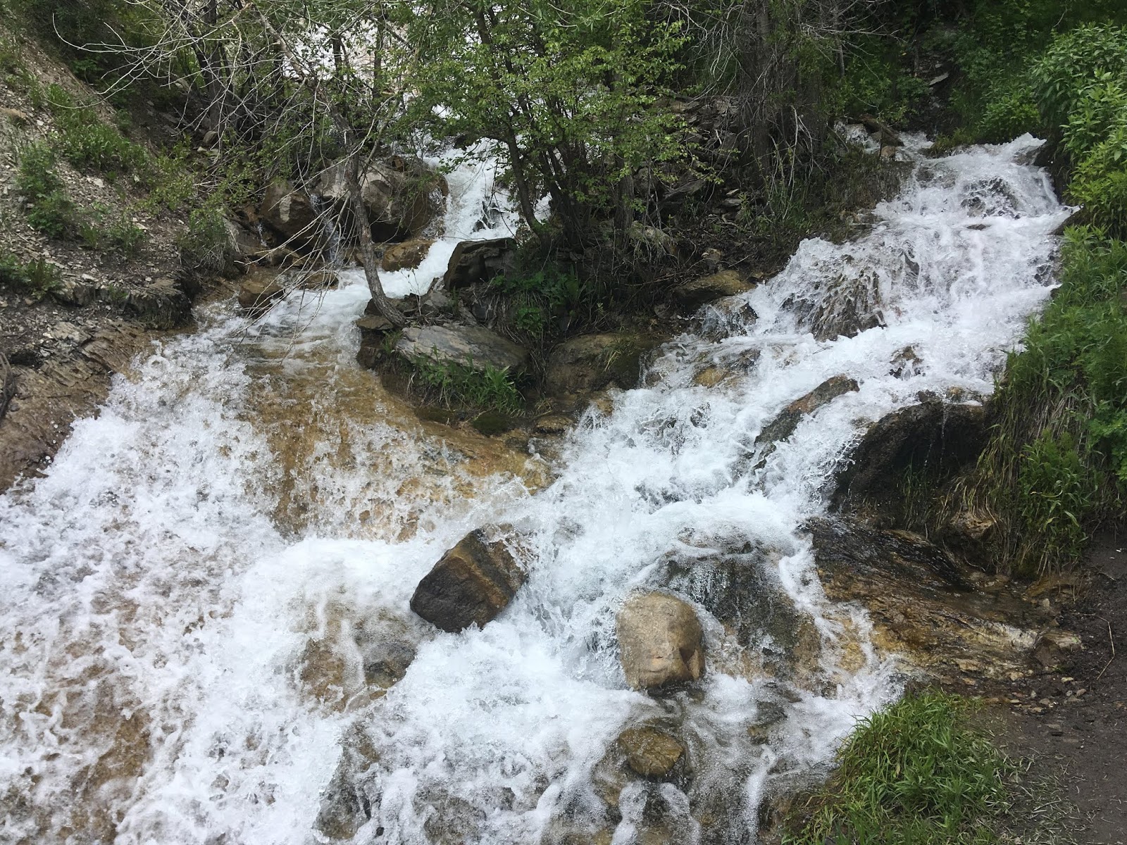 Hiking Grove Creek Canyon