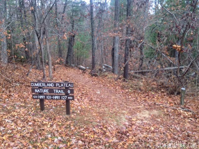 Hiking at Cumberland Mountain State Park, Tennessee