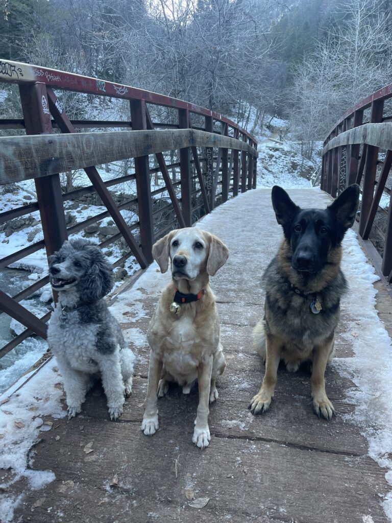 Hiking to Diamond Fork Hot Springs in Winter