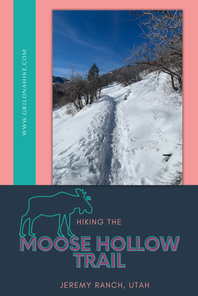 moose hollow trail
