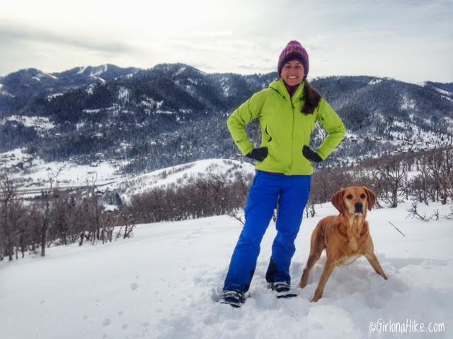 Hiking the Moose Hollow Trail, Jeremy Ranch, Kimball Junction, Utah, Hiking in Utah with Dogs, Hiking in Park City, Utah