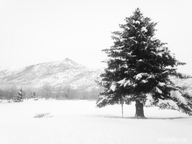 Cross Country Skiing at Wasatch Mountain State Park