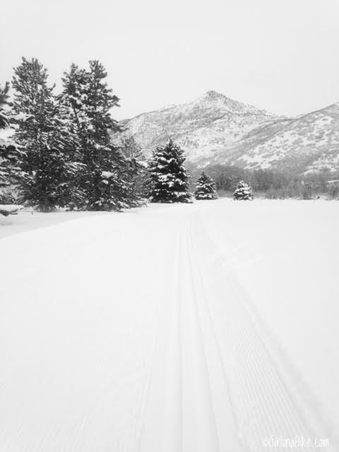 Cross Country Skiing at Wasatch Mountain State Park
