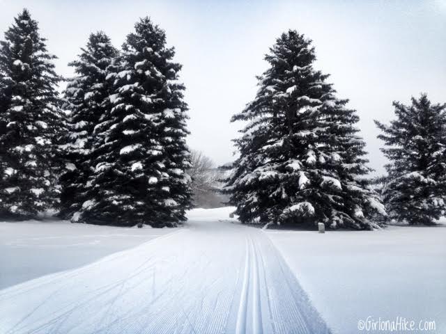 Cross Country Skiing at Wasatch Mountain State Park