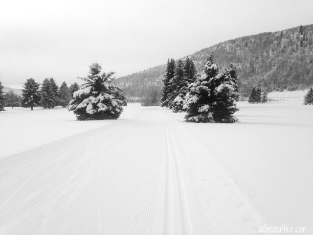 Cross Country Skiing at Wasatch Mountain State Park