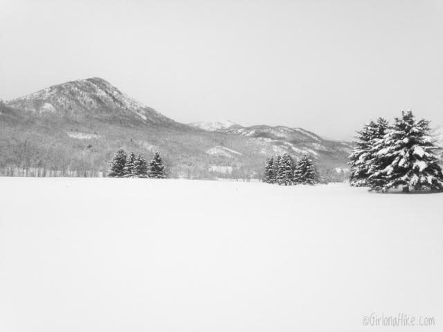 Cross Country Skiing at Wasatch Mountain State Park