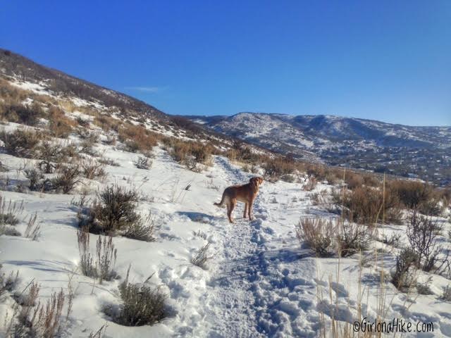 Hiking the 24/7 Connector Trail, Kimball Junction, Utah