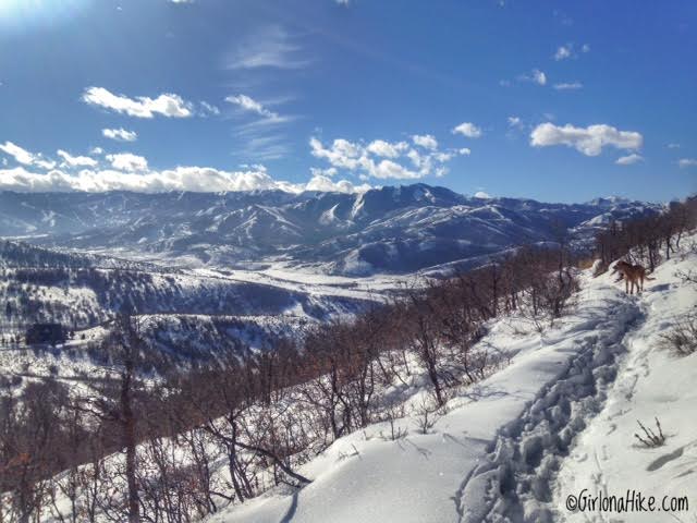 Hiking the 24/7 Connector Trail, Kimball Junction, Utah